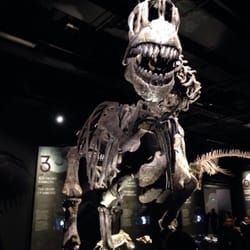 Musée des Confluences - Les dinosaures sont là !