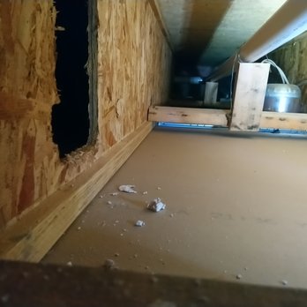 FP Property Restoration - Water leak path left no sign of mold. - Damage Restoration Near Me - Bradenton, Florida FP Property Restoration - Water leak path left no sign of mold. - Damage Restoration Near Me - Bradenton, Florida