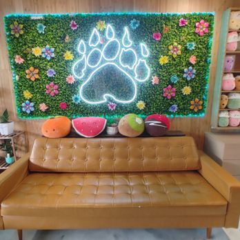 Daboba - Cute couch - Bubble Tea Near Me - Chicago, Illinois Daboba - Cute couch - Bubble Tea Near Me - Chicago, Illinois
