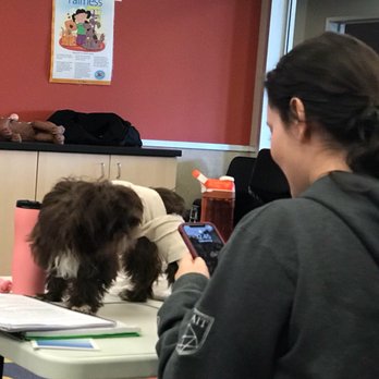 Edmonton Humane Society - Pet First Aid! - Animal Shelters Near Me - Edmonton, Alberta Edmonton Humane Society - Pet First Aid! - Animal Shelters Near Me - Edmonton, Alberta