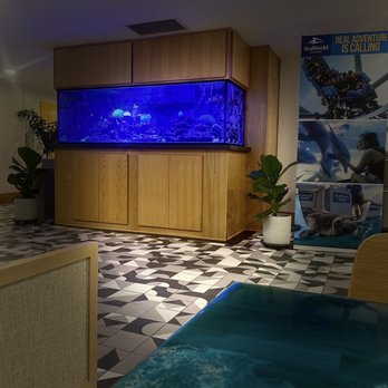 Ocean Park Inn - Lobby area has a gorgeous fish tank - San Diego, CA