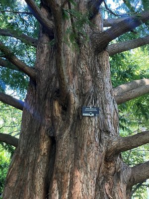 Van Vorst Park by null