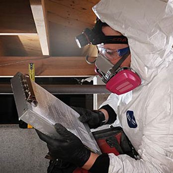 Priority Pest Services - Professional Home Termite, Moisture & Pest Inspections - Pest Control Near Me - Chesapeake, Virginia Priority Pest Services - Professional Home Termite, Moisture & Pest Inspections - Pest Control Near Me - Chesapeake, Virginia