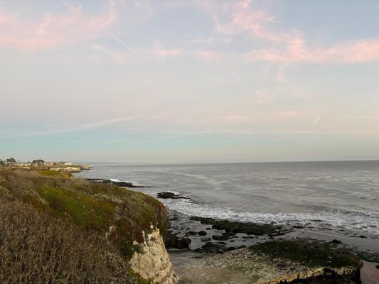 Seymour Marine Discovery Center by null