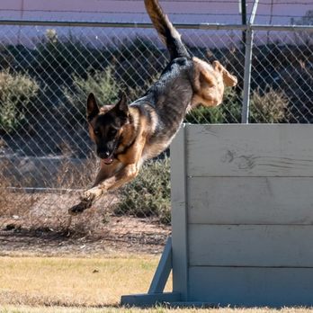 Barkerhaus Kennels - Pet Training Near Me - El Paso, Texas Barkerhaus Kennels - Pet Training Near Me - El Paso, Texas
