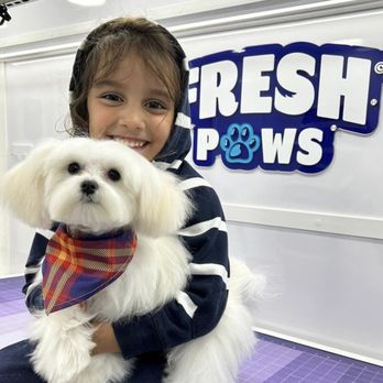 Fresh Paws - Pet Groomers Near Me Fresh Paws - Pet Groomers Near Me