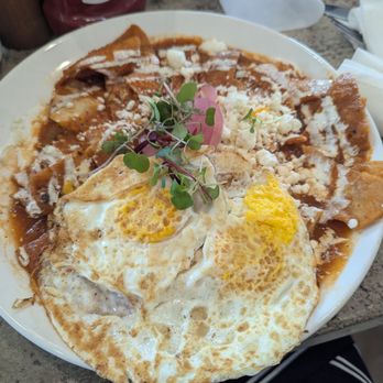 Cafe Topes - Coffee & Tea Near Me - Carlsbad, California