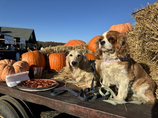 Outhouse Orchards by null
