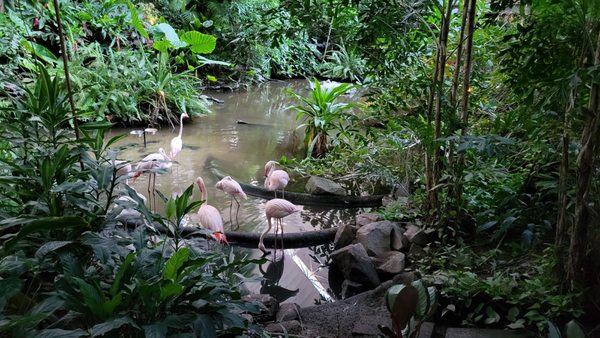 Photo of Tropical Islands - Krausnick-Groß Wasserburg, BB, DE. Im Dom