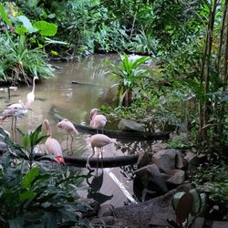 Tropical Islands - Im Dom