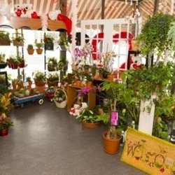Alma Florists - Photo