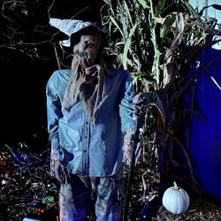 Adam's Family Haunted Woods