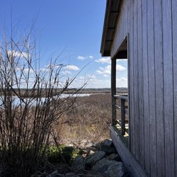 Sunnyhills Restoration Area