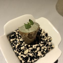 Benazuza - Tuna-stuffed cone