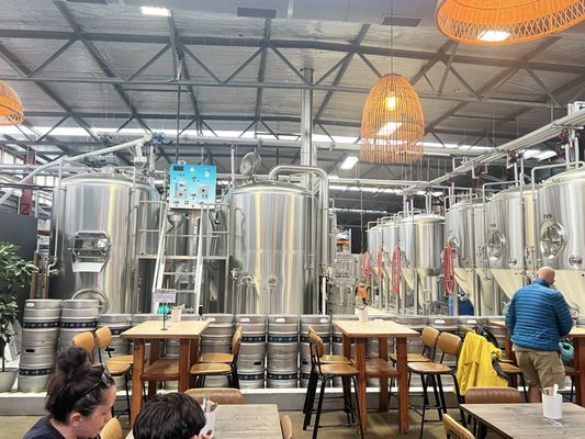 Scotts Brewing Co. by null