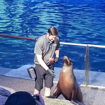 Shedd Aquarium - Aquariums Near Me - Chicago, Illinois