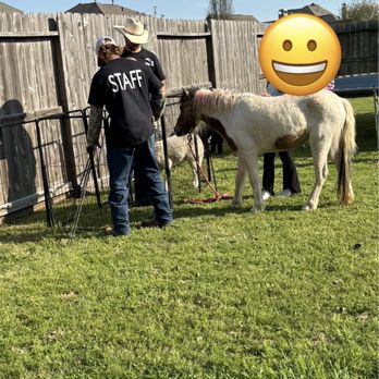 Houston Petting Zoo and Shows - Pony - Petting Zoos Near Me - Conroe, Texas Houston Petting Zoo and Shows - Pony - Petting Zoos Near Me - Conroe, Texas