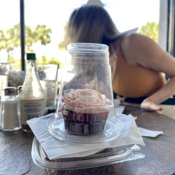 Wild Rabbit Bistro - Chocolate Rose Cupcake $3.50, Chocolate Espresso Cookie $2.50 & a Peanut Butter Brownie $4.50 - Coffee & Tea Near Me - Ormond Beach, Florida Wild Rabbit Bistro - Chocolate Rose Cupcake $3.50, Chocolate Espresso Cookie $2.50 & a Peanut Butter Brownie $4.50 - Coffee & Tea Near Me - Ormond Beach, Florida