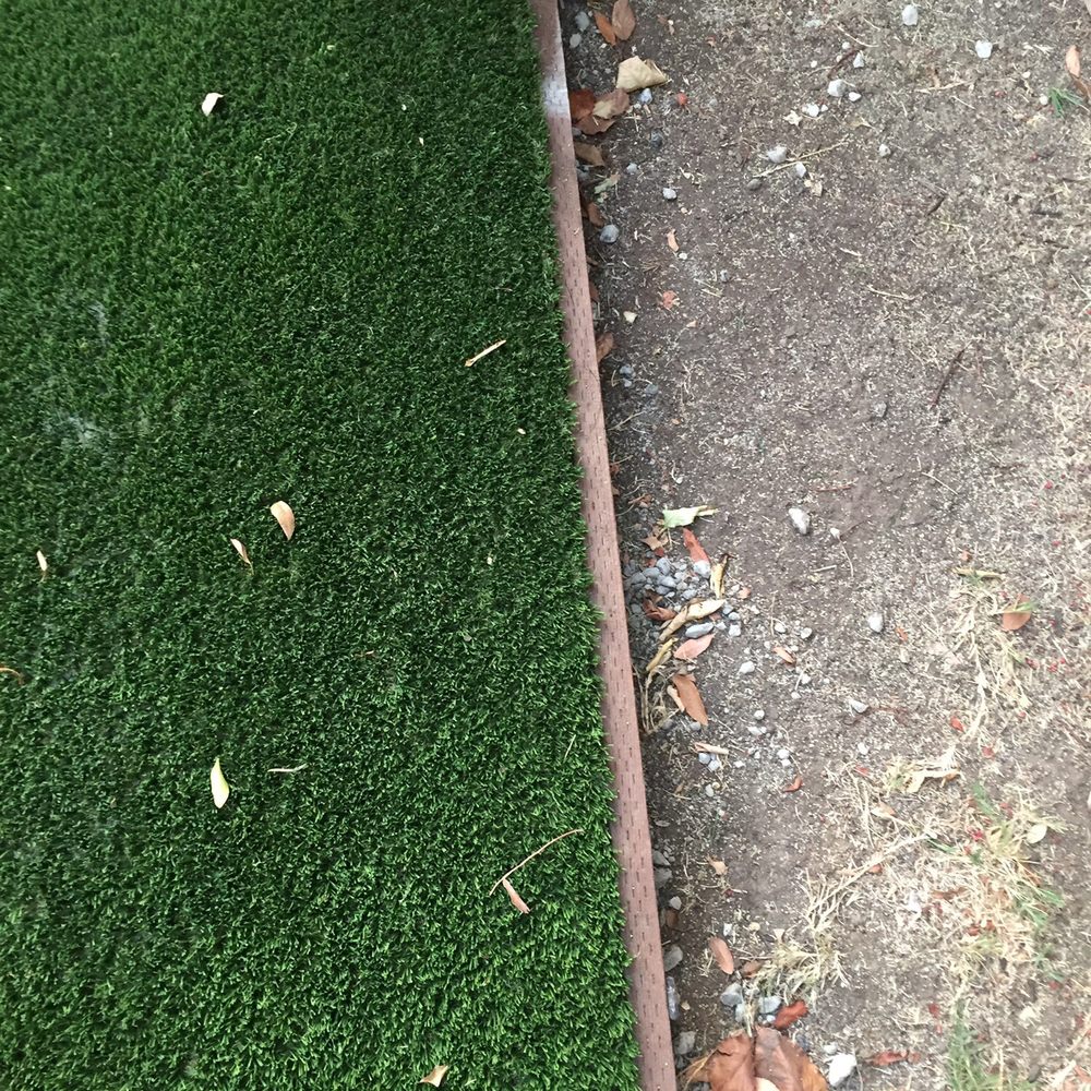Future Turf - Artificial Turf Near Me - Newbury Park, California