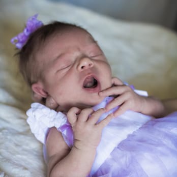 V Haldeman Photography - Our princess in purple. - Photographers Near Me - San Jose, California V Haldeman Photography - Our princess in purple. - Photographers Near Me - San Jose, California