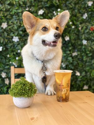 Yifang Taiwan Fruit Tea - Koreatown by null