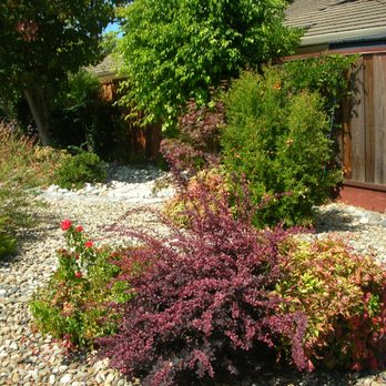 Andrew Landscaping Service - Front yard before - Landscaping Near Me Andrew Landscaping Service - Front yard before - Landscaping Near Me