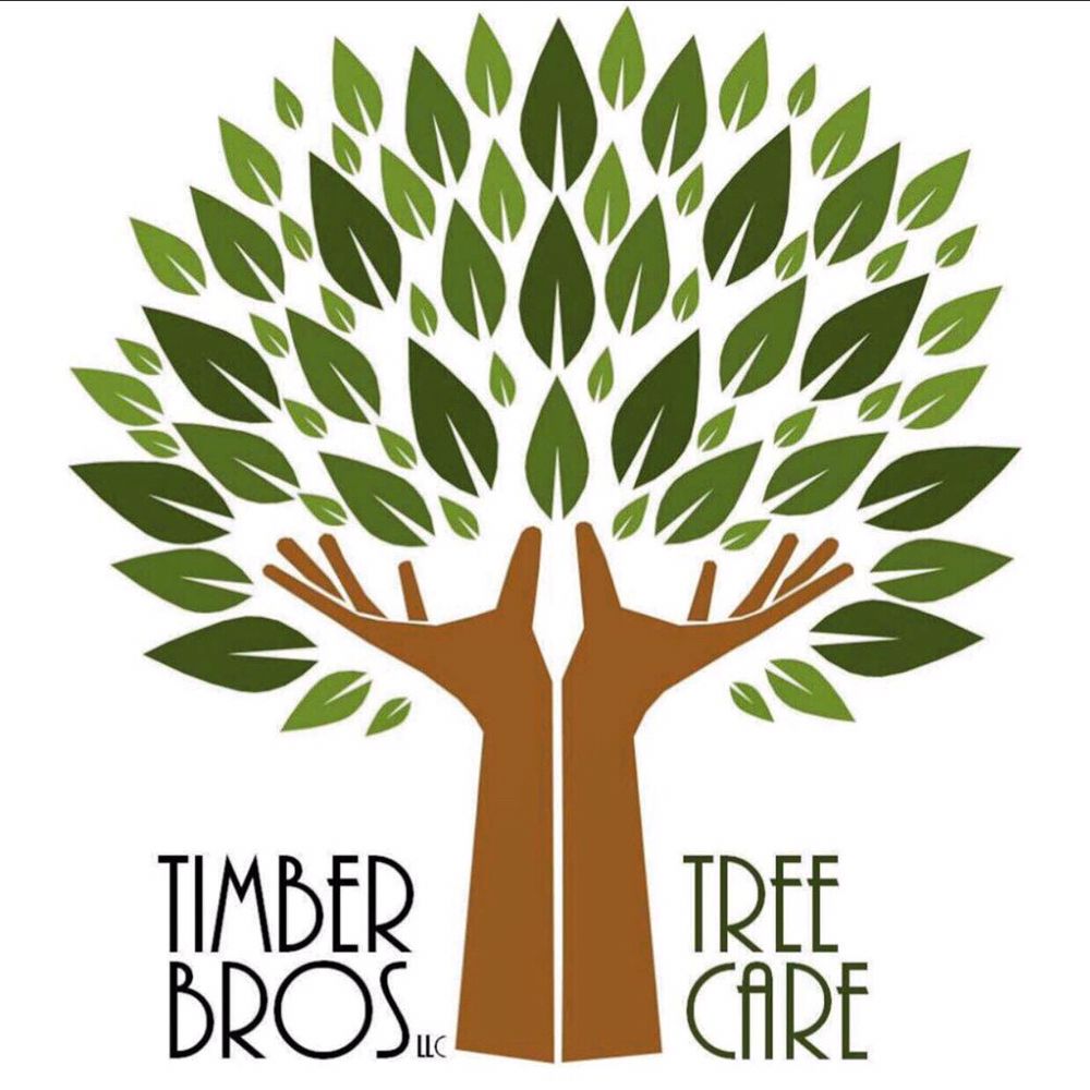 Timber Bros - tree service in Tacoma, WA