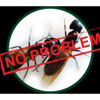 Kilter Termite and Pest Control - Call Today for a Free Termite Inspection and Estimate - Pest Control Near Me - Los Angeles, California Kilter Termite and Pest Control - Call Today for a Free Termite Inspection and Estimate - Pest Control Near Me - Los Angeles, California