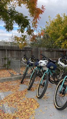 Napa Valley Bike Tours & Rentals by null