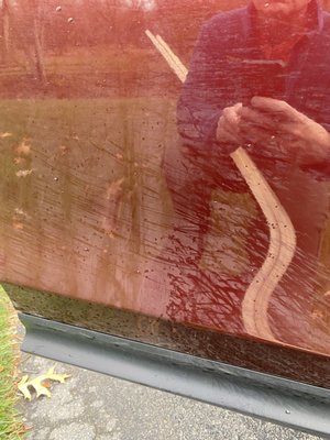 WHITE WATER CAR WASH - Updated August 2024 - 22 Photos & 30 Reviews