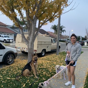 OC Dog Ranch - I let go of the leash to take the picture without worrying about him getting distracted and chasing after something. - Pet Training Near Me