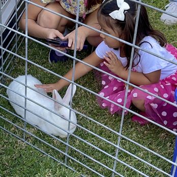 Party Ponies And Pets - Kids Activities Near Me - Pinon Hills , California Party Ponies And Pets - Kids Activities Near Me - Pinon Hills , California