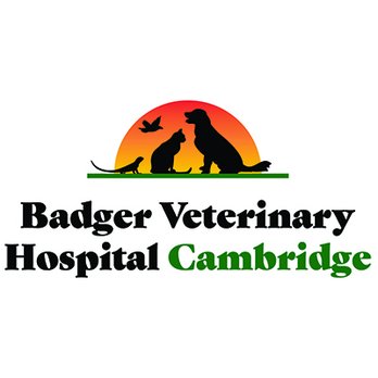 Badger Veterinary Hospital - Veterinarians Near Me - Cambridge, Wisconsin Badger Veterinary Hospital - Veterinarians Near Me - Cambridge, Wisconsin