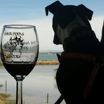 Four Fools Winery - Pup enjoying the view from Four Fools deck. - Wineries Near Me - Rodeo, California