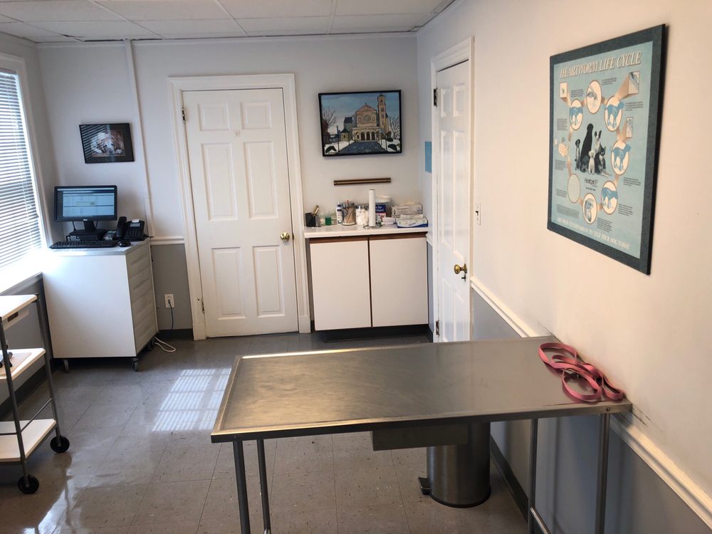 KENTMERE VETERINARY HOSPITAL 18 Photos & 28 Reviews Veterinarians 1710 Lovering Ave