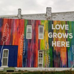 Love Grows Here