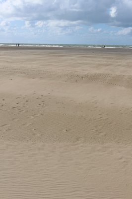 Deauville Beach by null