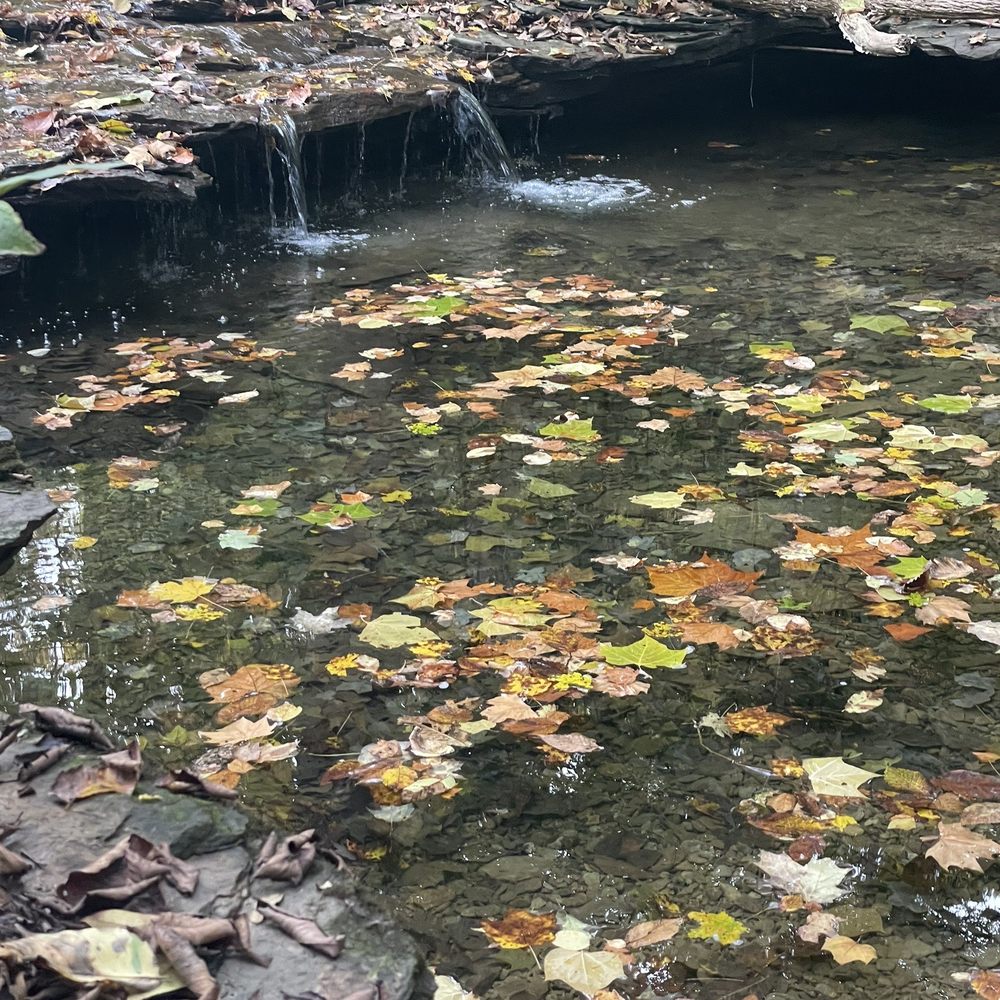 Montour Woods Conservation Area - Hiking Near Me - Coraopolis, Pennsylvania
