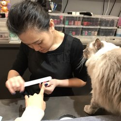 Pikapika - Amazing nail work and wonderful cat cuddles! They are so loving and friendly. I love this place.
