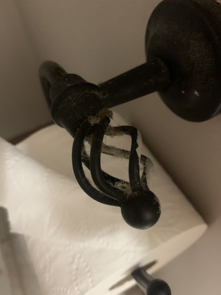 THE CLEANING LADY OF NWI Updated October 2024 16 Photos Munster