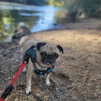Knights Ferry Recreation Area - Parks Near Me - Oakdale, California