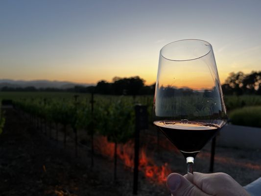 Aperture Cellars by null