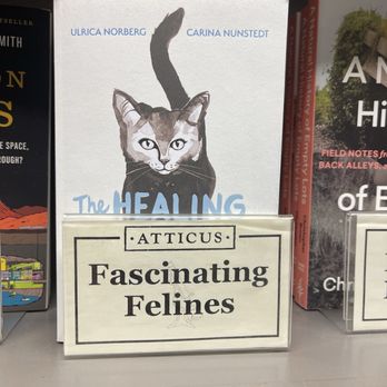 Atticus Bookstore Cafe - Book - Coffee & Tea Near Me - New Haven, Connecticut