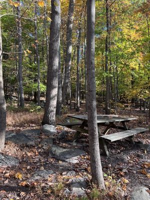 Sugarloaf Mountain by null