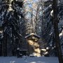 Photo of Waldfriedhof Alter Teil