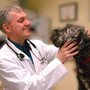 Photo of Garden City Veterinary Hospital