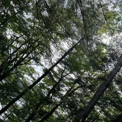 The Park - In the park