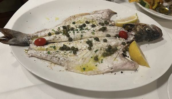 Faros Restaurant - Greek Seafood - Mediterranean by null