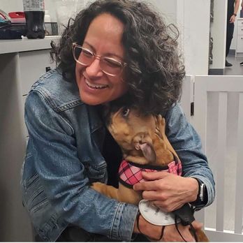 Williamsburg Veterinary Clinic - Veterinarians Near Me - Brooklyn, New York Williamsburg Veterinary Clinic - Veterinarians Near Me - Brooklyn, New York