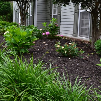 Grazz Masters - a garden with a variety of plants - Landscaping Near Me - Memphis, Tennessee Grazz Masters - a garden with a variety of plants - Landscaping Near Me - Memphis, Tennessee